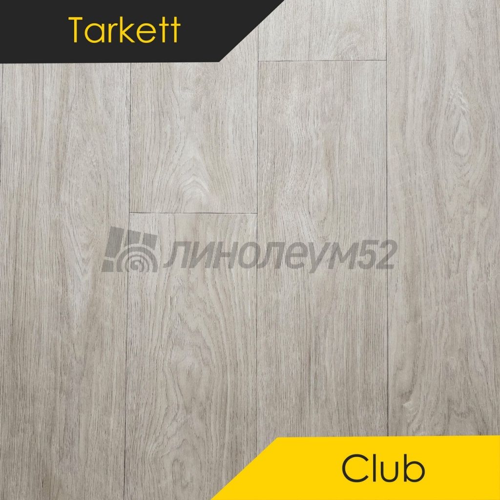 Линолеум - CLUB / Tarkett - Tarkett CLUB - MAXIMUS 1 Дизайн - Tarkett CLUB - MAXIMUS 1