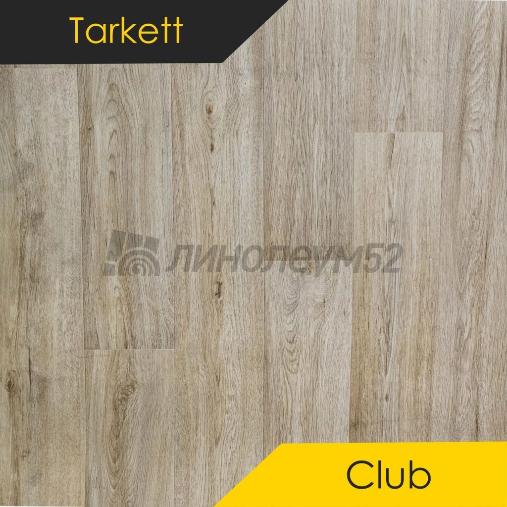 Линолеум - CLUB / Tarkett - Tarkett CLUB - BRIDE 1 Дизайн - Tarkett CLUB - BRIDE 1