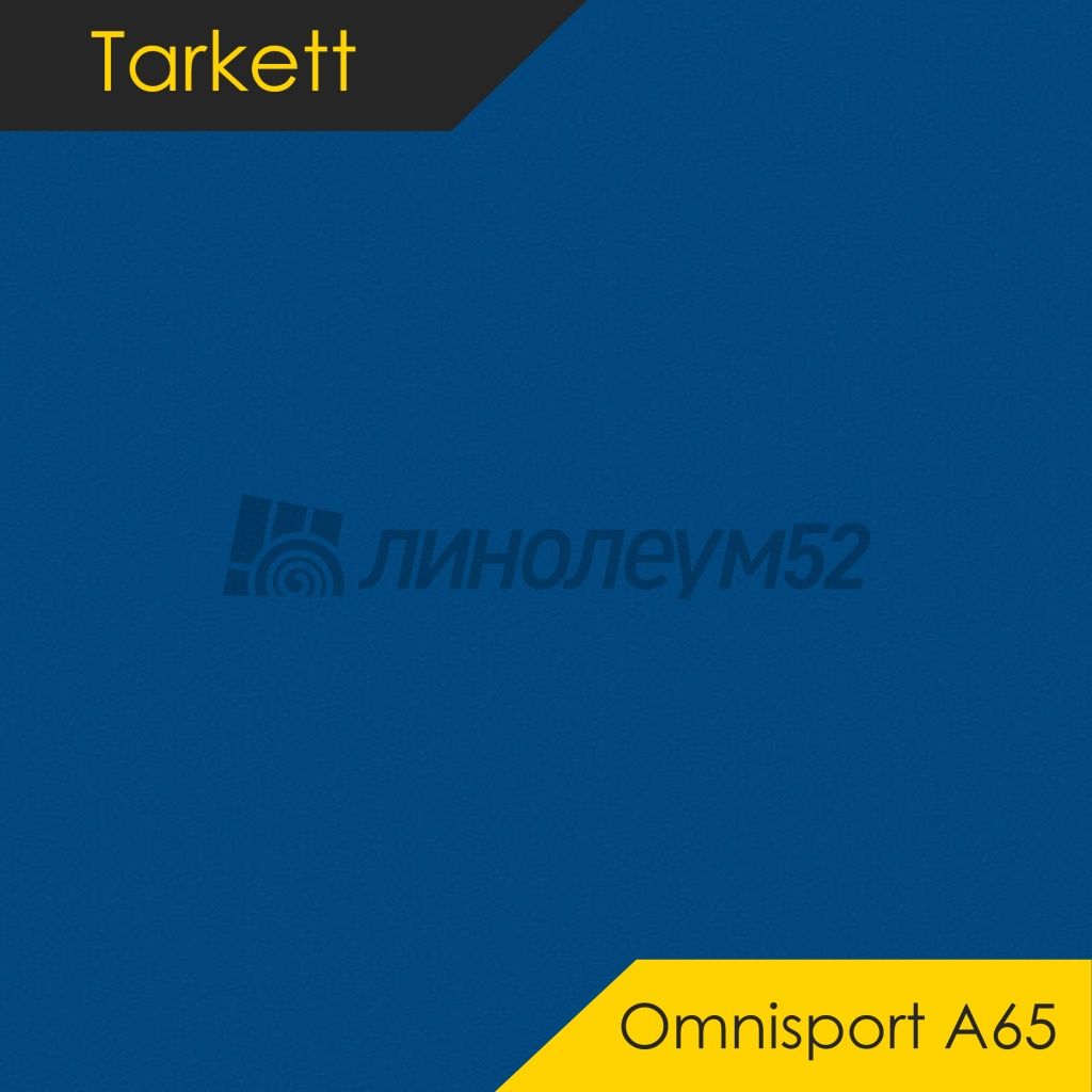Линолеум - OMNISPORT A65 / Tarkett - Tarkett OMNISPORT A65 - ROYAL BLUE Дизайн - Tarkett OMNISPORT A65 - ROYAL BLUE