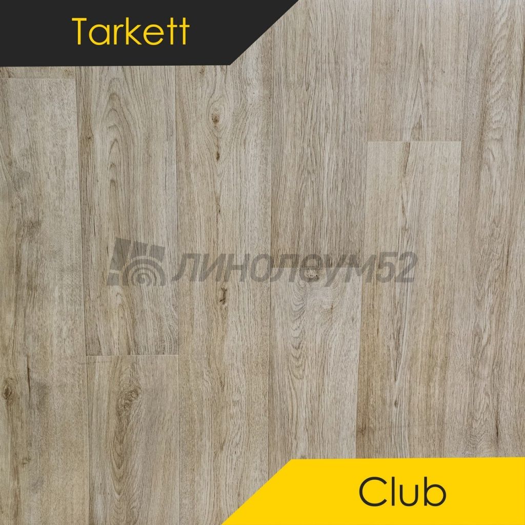 Линолеум - CLUB / Tarkett - Tarkett CLUB - JANE 2 Дизайн - Tarkett CLUB - JANE 2