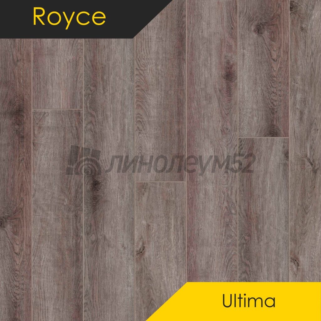 ROYCE - ULTIMA  / 1200*180*5.0 - Royce Кварцвинил - ULTIMA / ДУБ ДАРВИН U1963 ROYCE - ULTIMA  / 1200*180*5.0 - Royce Кварцвинил - ULTIMA / ДУБ ДАРВИН U1963