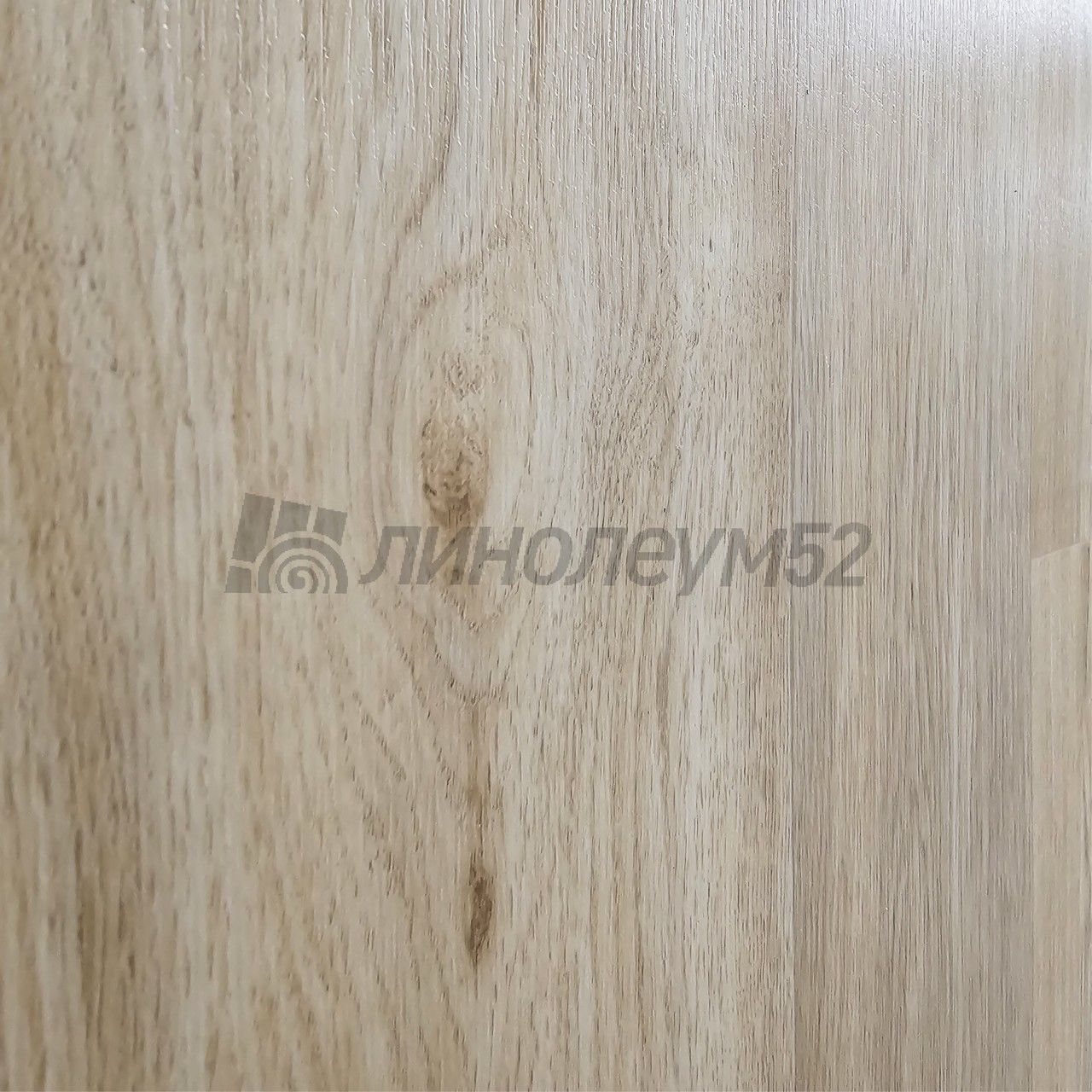 Линолеум - CLUB / Tarkett - Tarkett CLUB - JANE 2 Дизайн - Tarkett CLUB - JANE 2