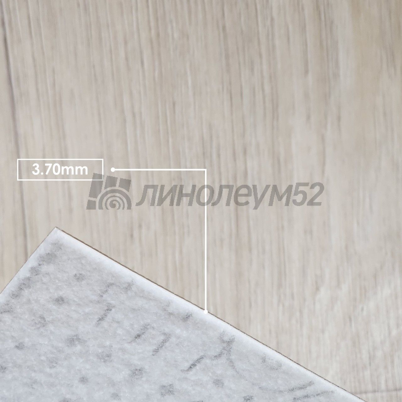 Линолеум - CLUB / Tarkett - Tarkett CLUB - MAXIMUS 1 Дизайн - Tarkett CLUB - MAXIMUS 1