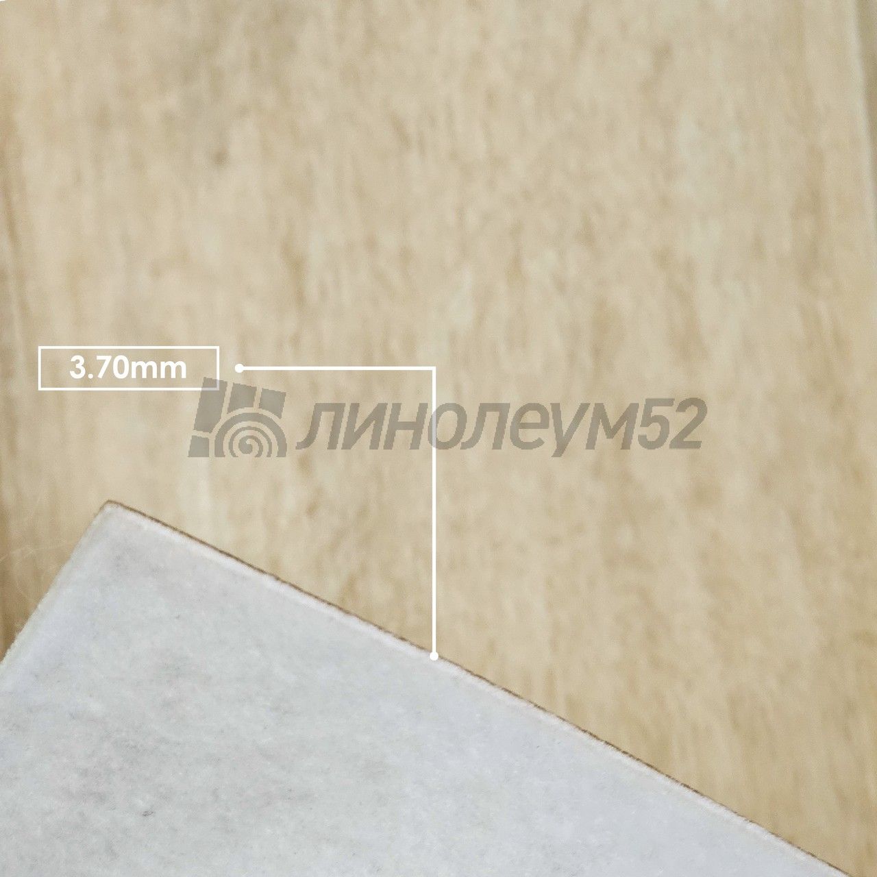 Линолеум - CLUB / Tarkett - Tarkett CLUB - JANE 2 Дизайн - Tarkett CLUB - JANE 2