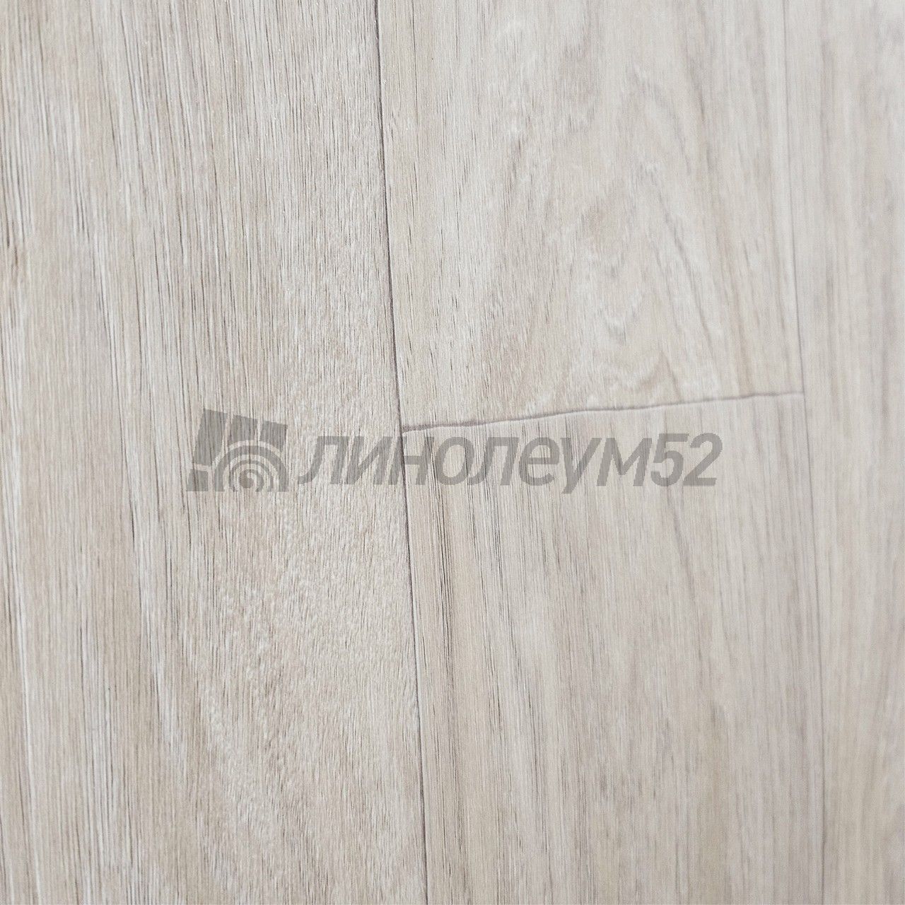 Линолеум - CLUB / Tarkett - Tarkett CLUB - MAXIMUS 1 Дизайн - Tarkett CLUB - MAXIMUS 1