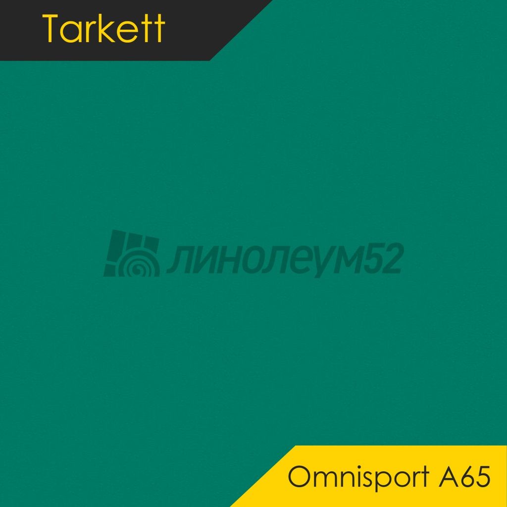 Линолеум - OMNISPORT A65 / Tarkett - Tarkett OMNISPORT A65 - FOREST GREEN Дизайн - Tarkett OMNISPORT A65 - FOREST GREEN